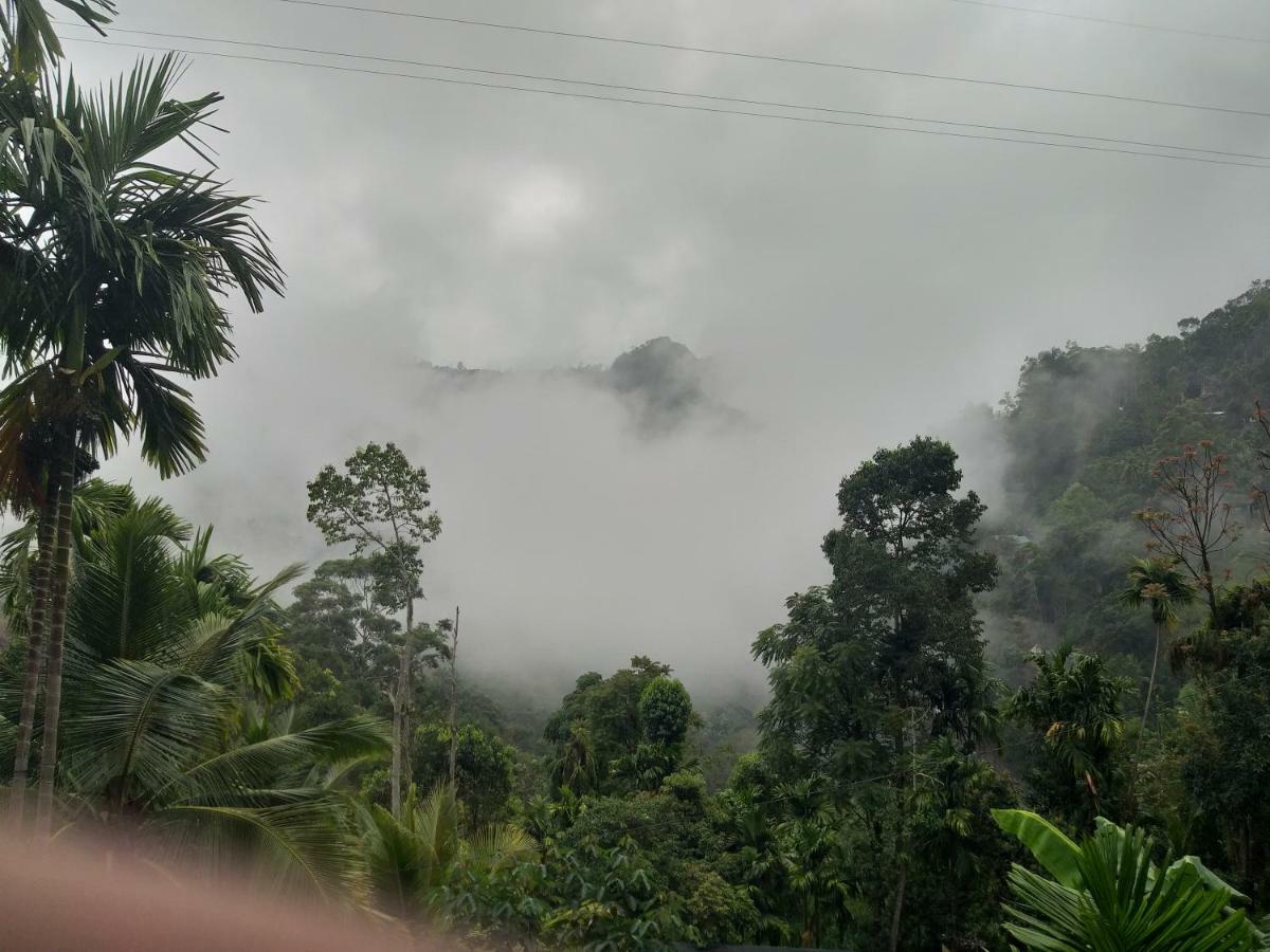 Different View Bed & Breakfast Ella Bagian luar foto